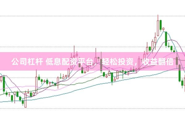 公司杠杆 低息配资平台，轻松投资，收益翻倍