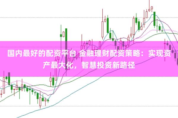 国内最好的配资平台 金融理财配资策略：实现资产最大化，智慧投资新路径