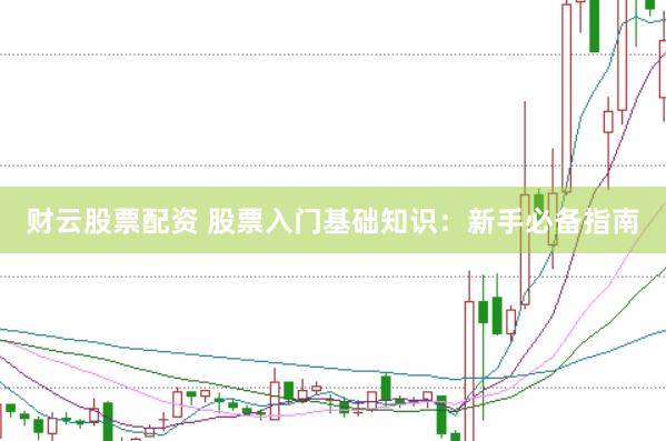 财云股票配资 股票入门基础知识：新手必备指南