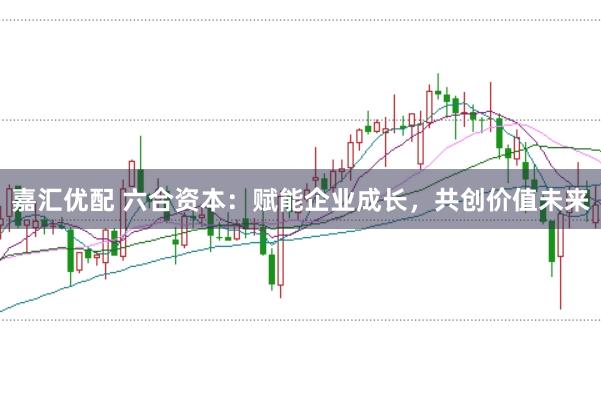 嘉汇优配 六合资本：赋能企业成长，共创价值未来