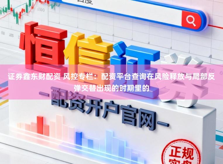 证券鑫东财配资 风控专栏：配资平台查询在风险释放与局部反弹交替出现的时期里的