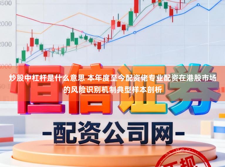 炒股中杠杆是什么意思 本年度至今配资佬专业配资在港股市场的风险识别机制典型样本剖析